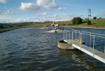 aerobic oxidation pond
