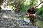 Macrobenthic assessment