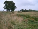 Irongate Stream